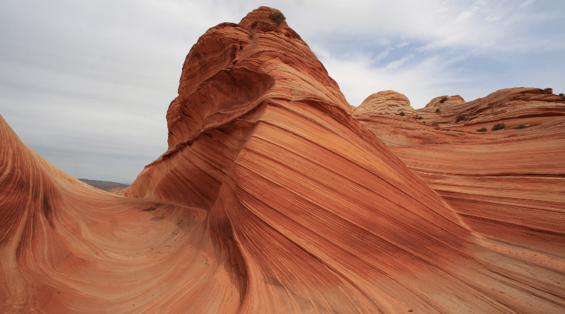 the wave rocks in utah