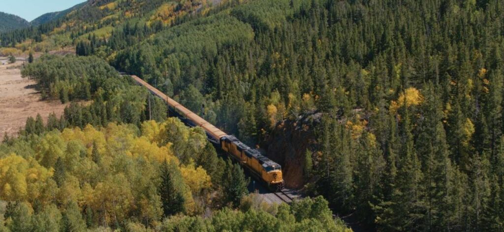 bird's eye view of train going through green and yellow trees