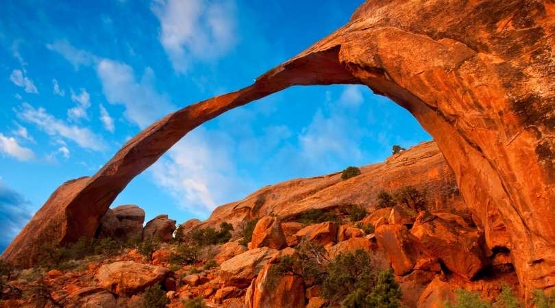 looking up at landscape arch