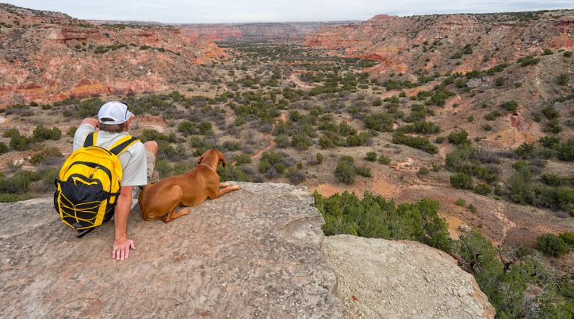 a man and his dog looking out at desert view