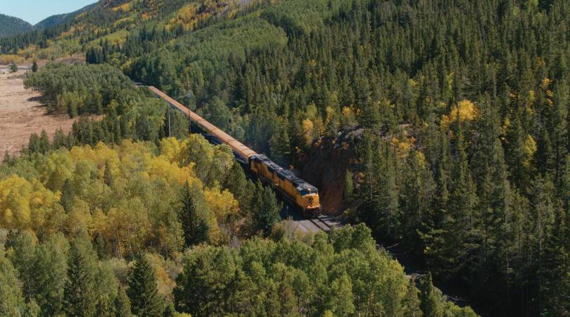 aerial view of rocky mountaineer train traveling through trees