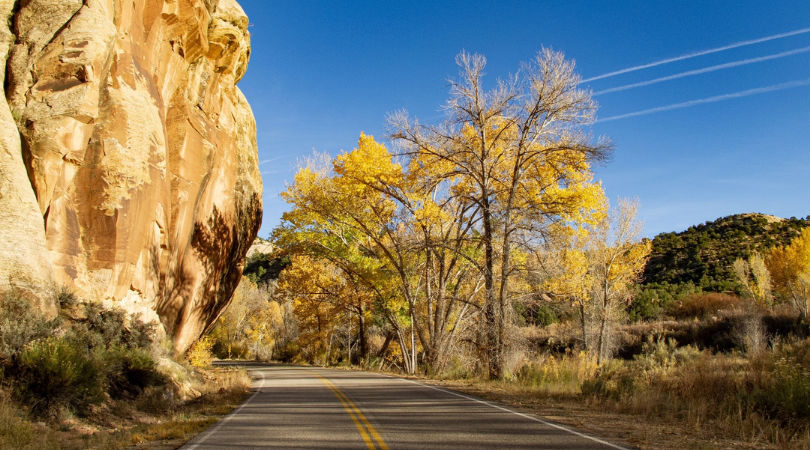 road through moab lined with fall trees and beautiful rock